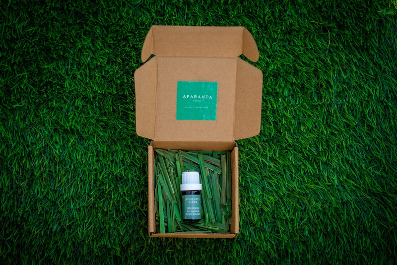 Lemongrass Oil Combo Box - Lemongrass perfume/freshener, Pain reliever/mosquito repellent, essential oil - WEAR COURAGE